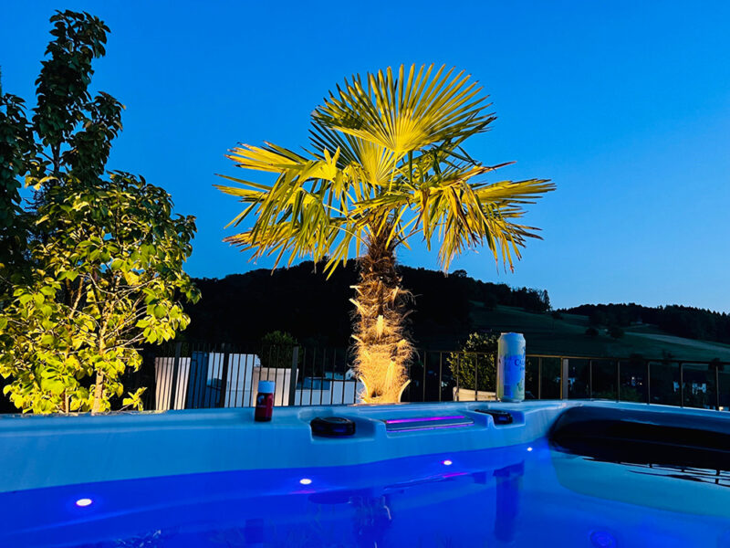 Nutzung Infinity Whirlpool auf der Dachterrasse + CHF 28.00 pro Person